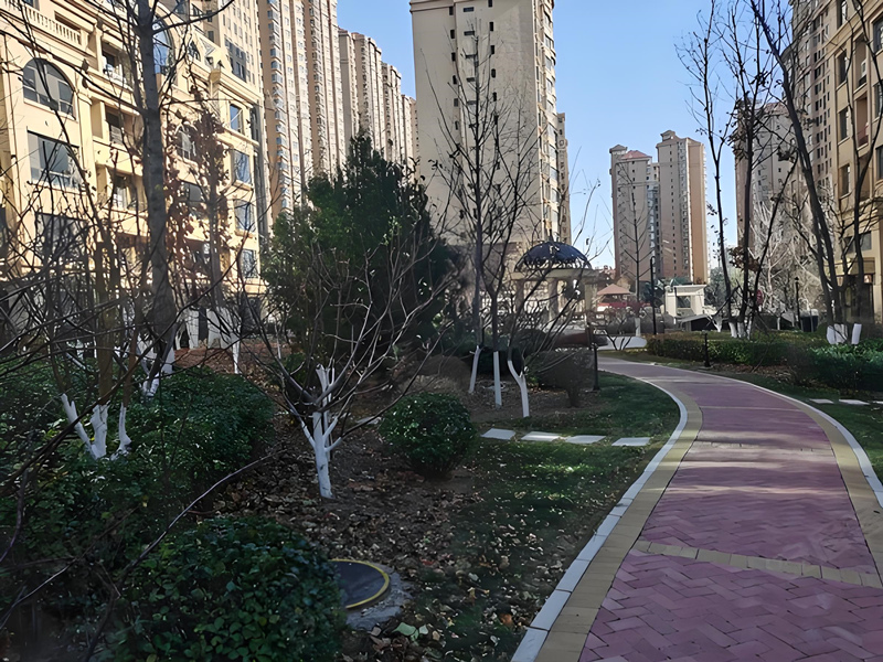 翠岛天成